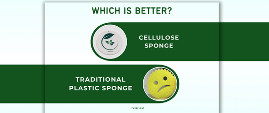 Cellulose Sponge vs Plastic Sponge